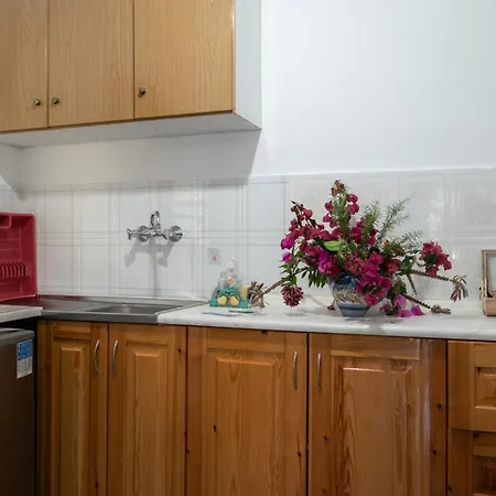 Ulisse Apartamento Palaiokastritsa